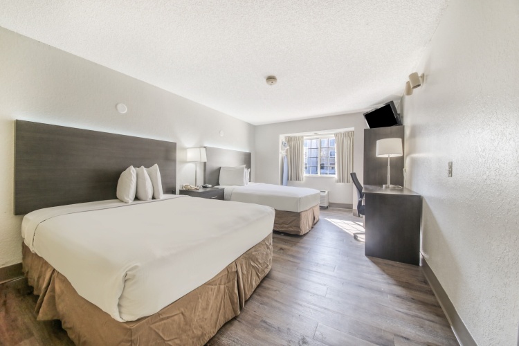 Accessible Twin Studio Suite