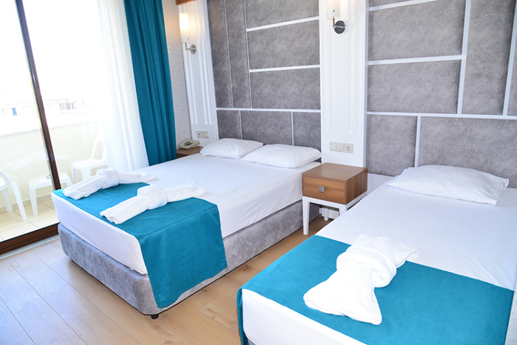 Standard Twin room with land view