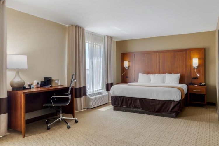 1 Bedroom Double Suite