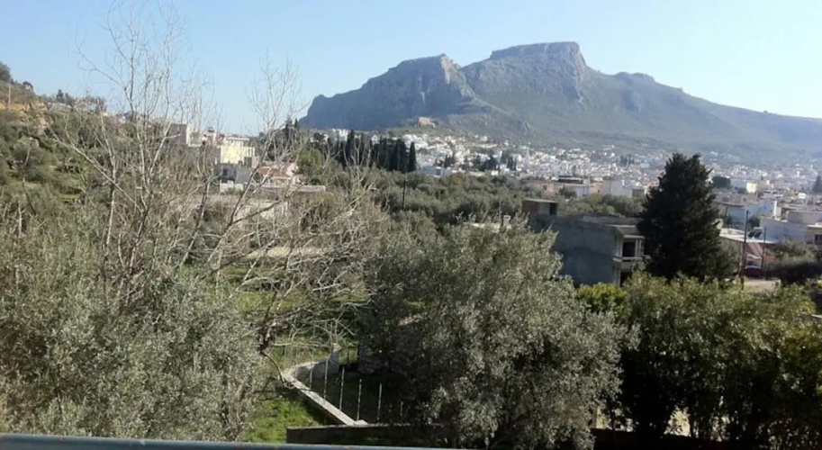 Hotel Katerina