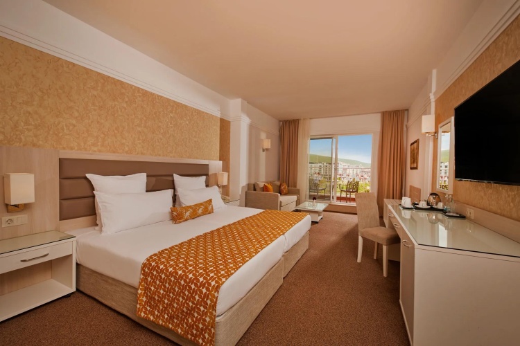 Deluxe Double room with park view