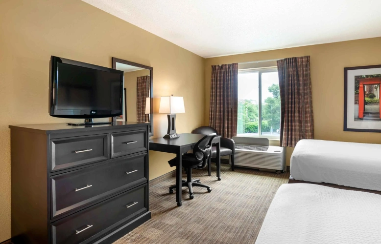 Twin Studio Suite