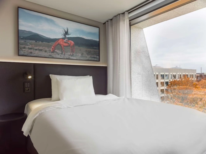 Standard Single room
