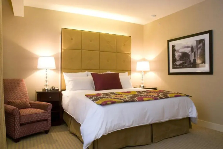 Millennium Hotel Knickerbocker Chicago
