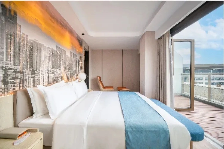 Deluxe Elegant Suite