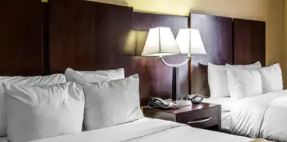 Twin Suite