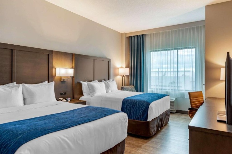 Standard Quadruple room