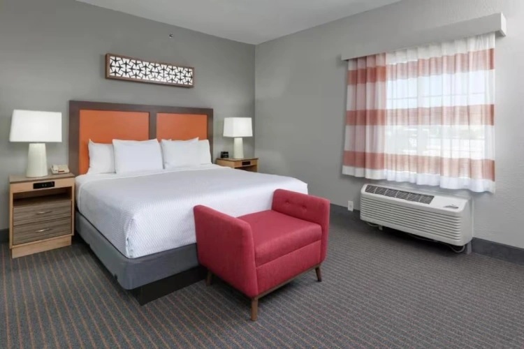 1 Bedroom Family Suite