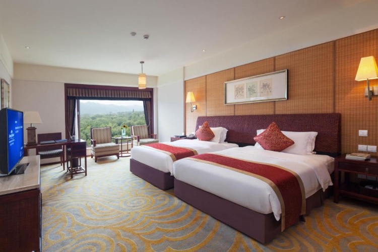 Deluxe Twin room with mountain view