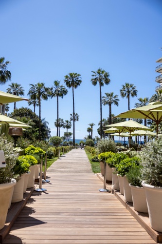 Mondrian Cannes photo 32