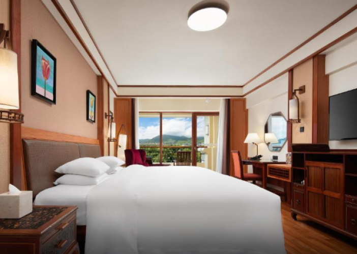 Deluxe Double room with mountain view