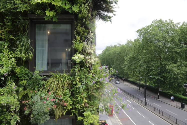 The Athenaeum Hotel photo 25