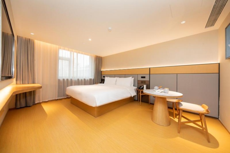 Standard Suite