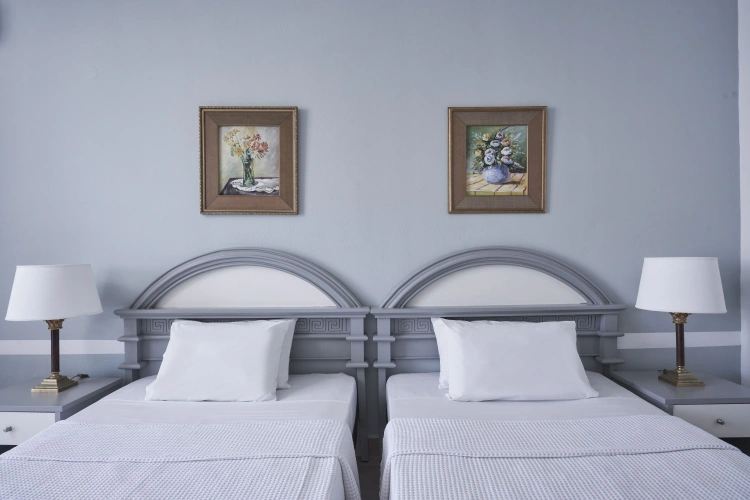 Classic Twin room with garden view