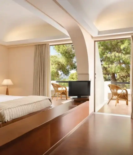Presidential Double Suite with private pool