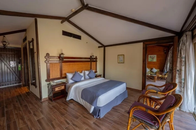 1 Bedroom Suite