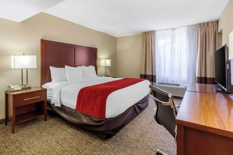1 Bedroom Suite