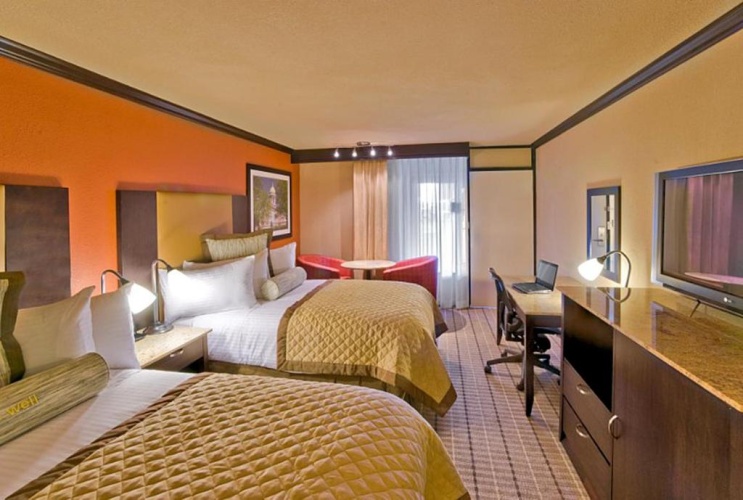1 Bedroom Quadruple Suite