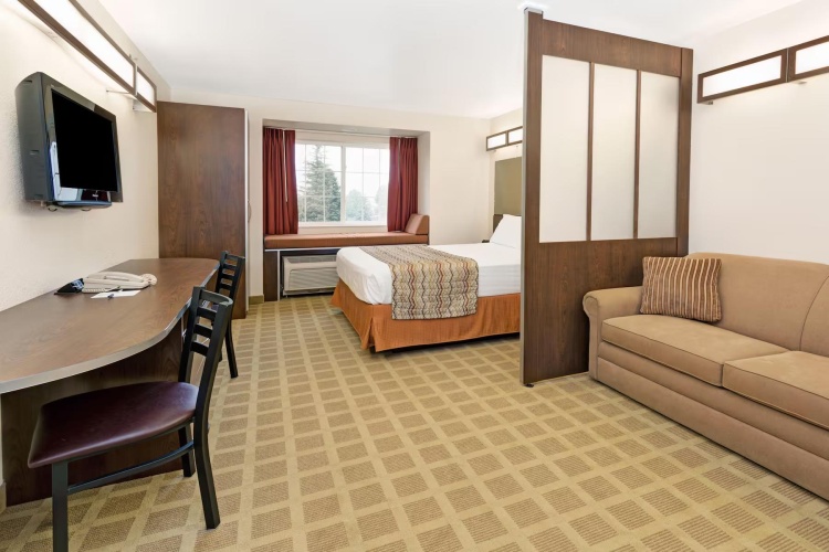 Accessible Double Studio Suite