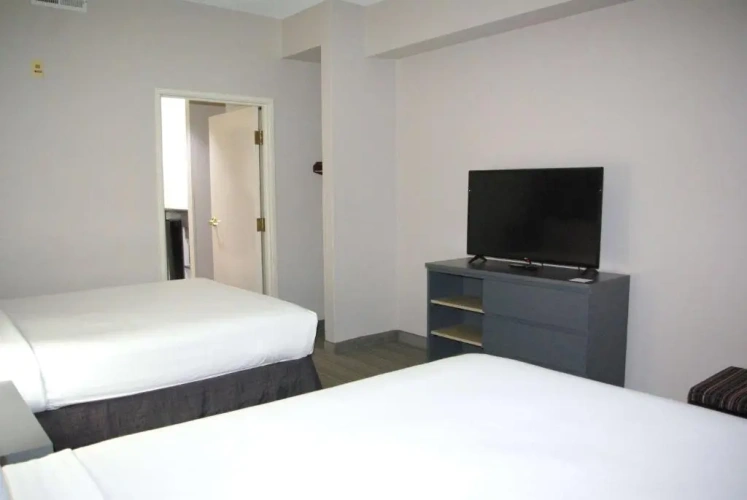 1 Bedroom Twin Suite