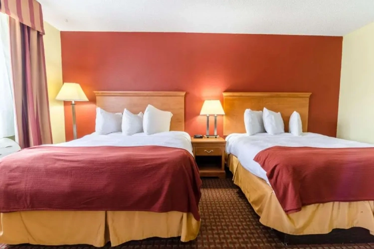 Twin Suite