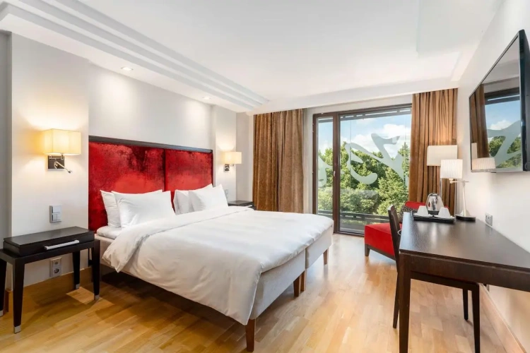 Superior Double room with park view
