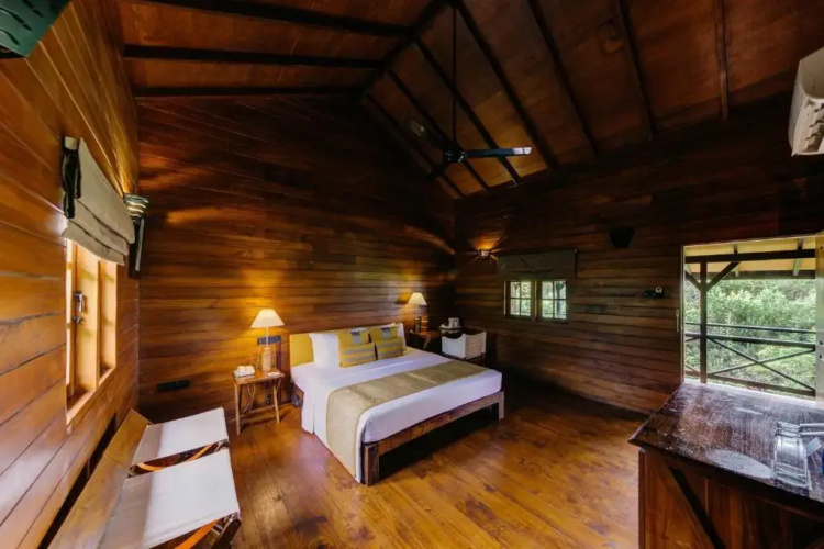 Cinnamon Wild Yala