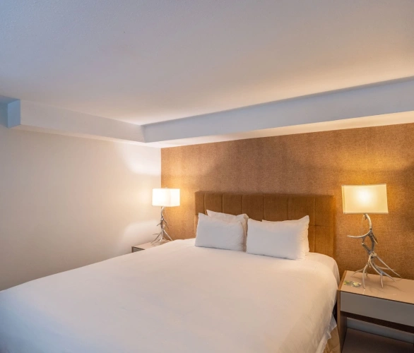 Executive Presidential Suite