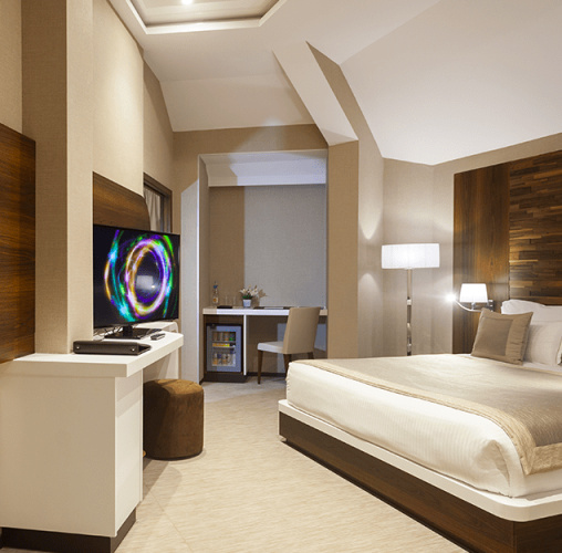 Premium Executive Double Suite