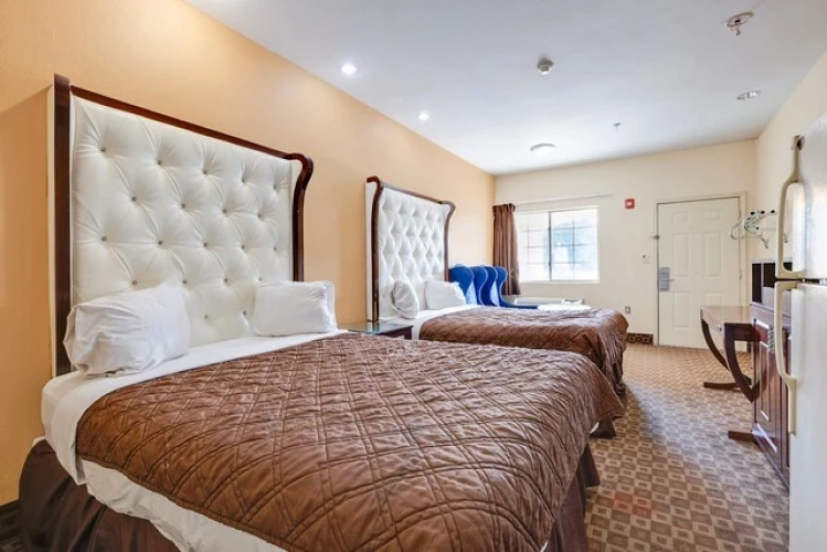 Accessible Kitchenette Twin room