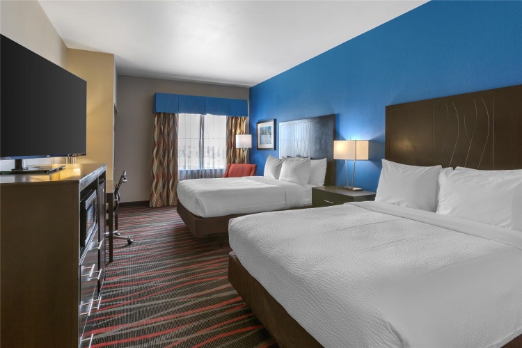 Twin Suite