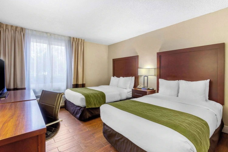 Quadruple room