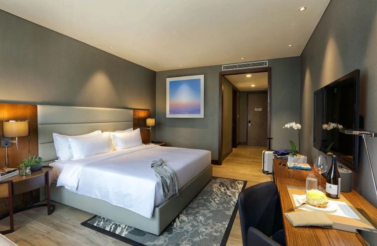 Double 41sqm Studio