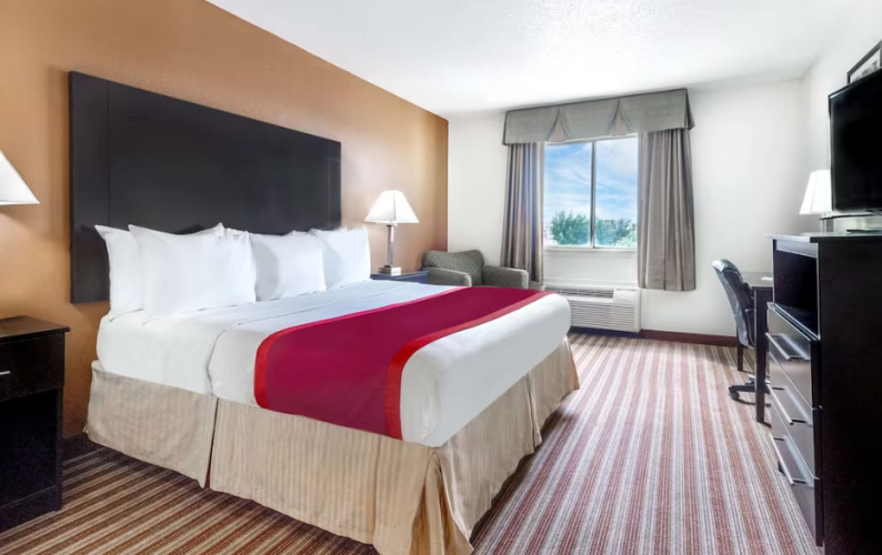1 Bedroom Double Suite