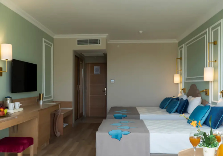 Standard room with land view