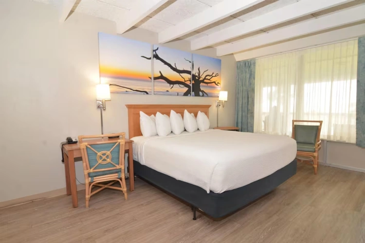 1 Floor Double Suite Oceanside