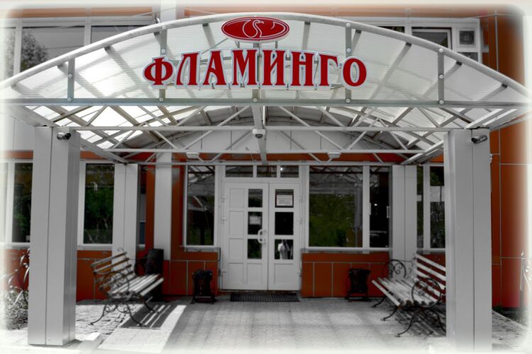 Flamingo Resort