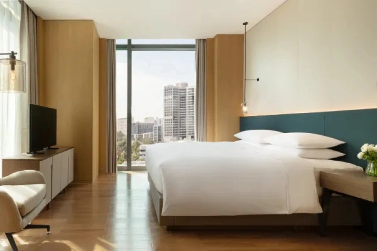 Double Studio Suite
