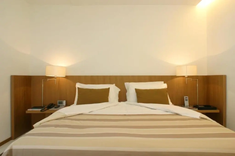 Deluxe Plus Apartment