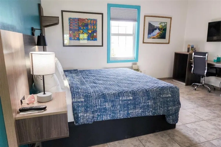 Basic Double room