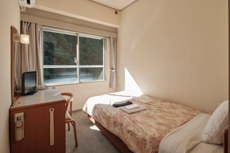 Western-style Single room