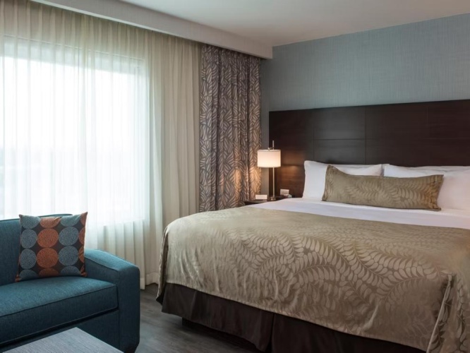 Studio Suite with pool view