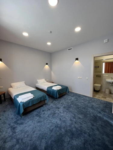 Фотография номера гостиницы Эко-Отель Клевер