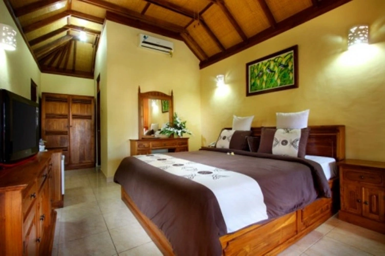 Double Studio Suite