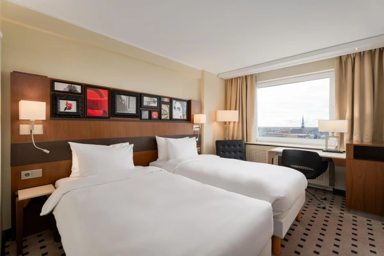 Superior Twin room with view