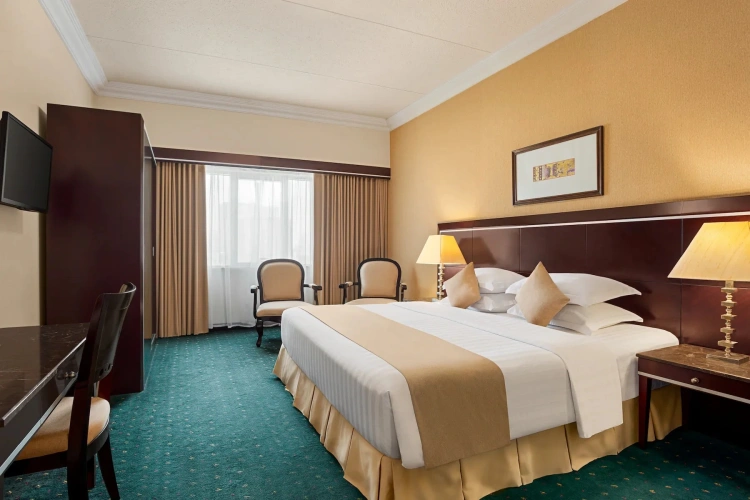 Dolphin Double Suite