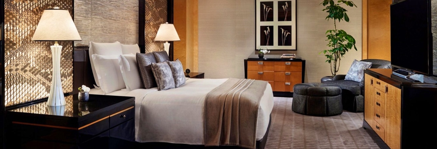 Premier Executive Double Suite
