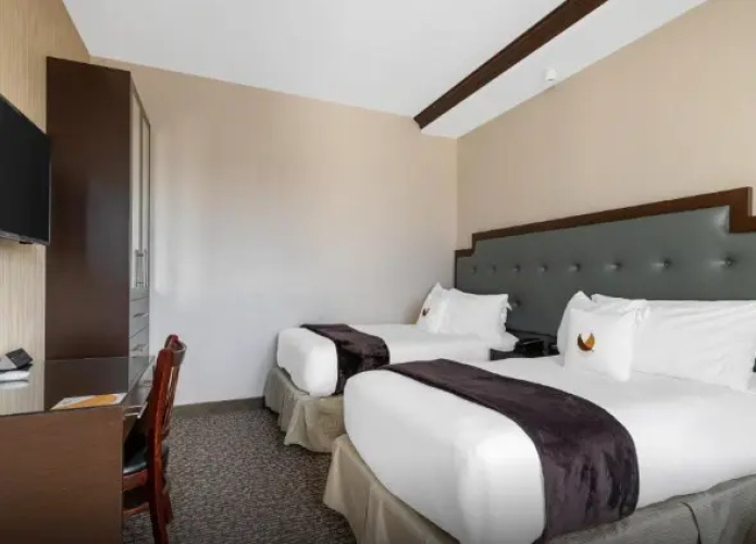 1 Bedroom Suite