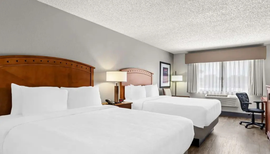 Quadruple Family Suite