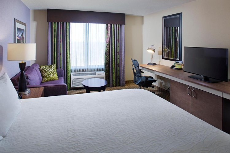 Hilton Garden Inn Hartford North/Bradley Int'l Airport photo 8